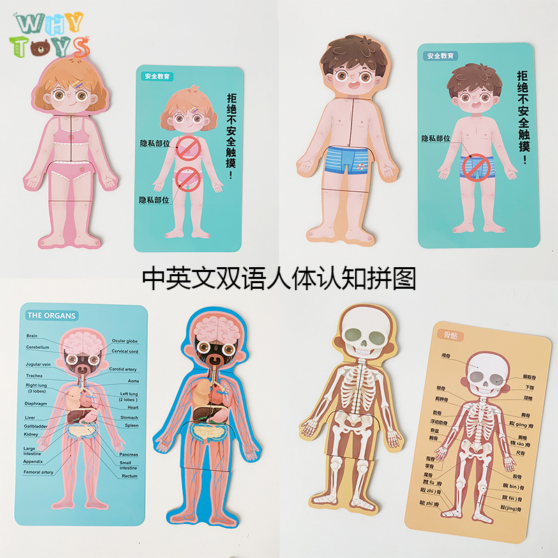中英文人体结构拼图幼儿园科普安全性教育医生启蒙玩具木制