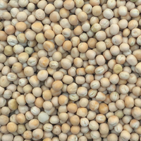 白玉豌豆-生豌豆 鸽粮豌豆 白玉豌豆 鸽粮 鸽饲