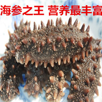 俄罗斯淡干海参 大红参6排刺20-30头500g 纯淡