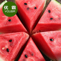 正宗海南麒麟瓜 18斤礼盒装 海南精品西瓜 新鲜