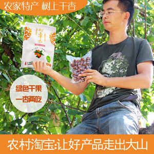 新疆树上干杏500g伊犁特产吊死干杏干原生态原味坚果果脯零食包邮杏干