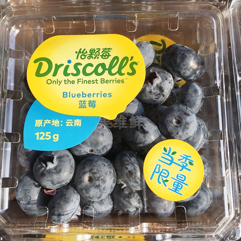 特大果 driscoll's蓝莓 1盒 怡颗莓限量版 新鲜蓝莓鲜果 产自云南