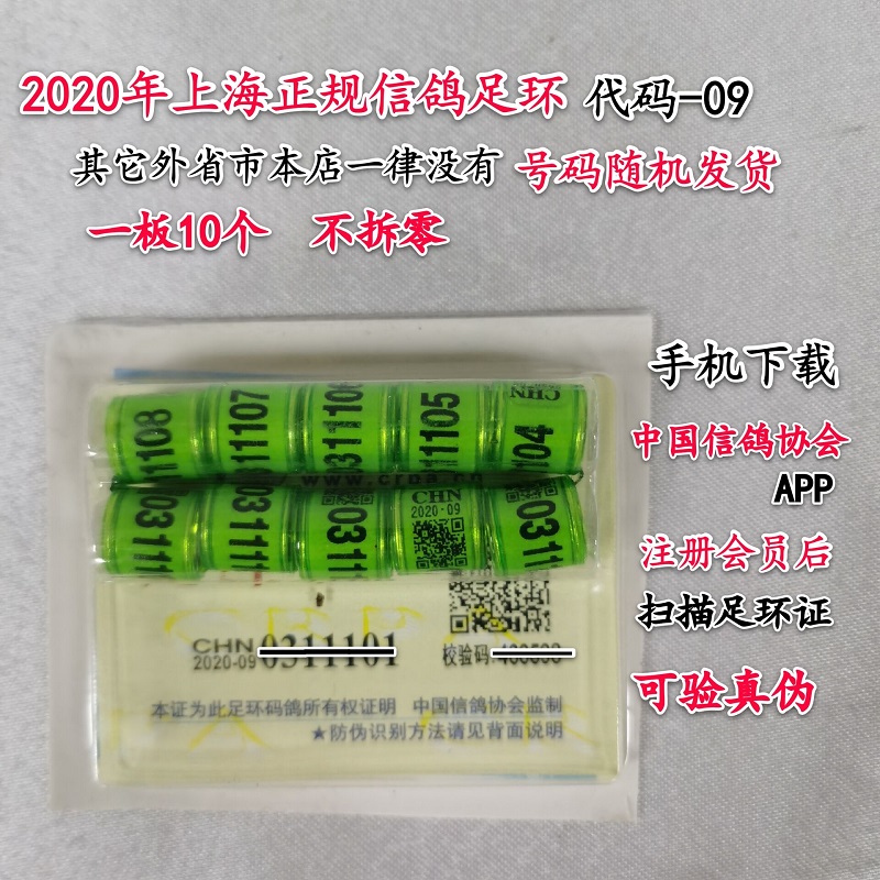 2020年绿色足环上海市09号带证正规赛鸽足环信鸽足环脚环带足环证