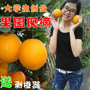 江西赣州赣南脐橙10斤 新鲜水果橙子 孕妇手剥橙脐橙现摘甜橙包邮脐橙水果