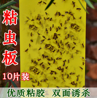 双面板黄板粘虫pvc捕虫板诱虫板捉虫板杀视频石榴切图片