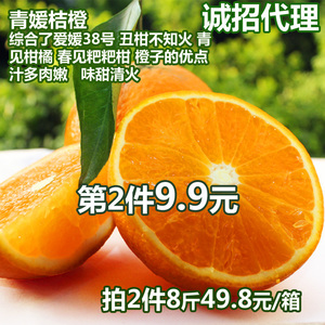 桔橙眉山青见柑橘 新鲜水果比不知火丑柑春见爱媛38号伦晚脐橙甜柑橘水果