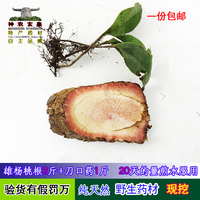 藤梨根刀口药藤梨根-中药材石韦刀口药包邮全