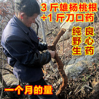 杨桃根-中药材石韦刀口药包邮全场满46元包邮