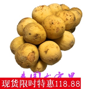 现货龙宫果泰国进口皇选什么牌子好 同款好推