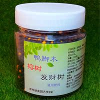 粘拍专用有机胶水粘合-9包邮柠檬佛手小橘子通