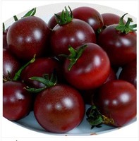 黑色水果小番茄籽盆栽-菜籽黑宝石番茄种子 黑