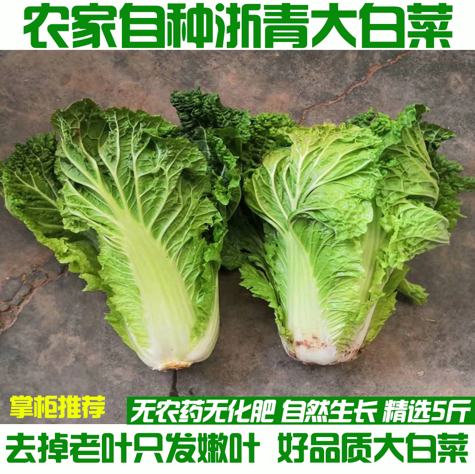 农家新鲜蔬菜白菜新鲜 大白菜 新鲜大白菜 农家自种 有机白菜5斤