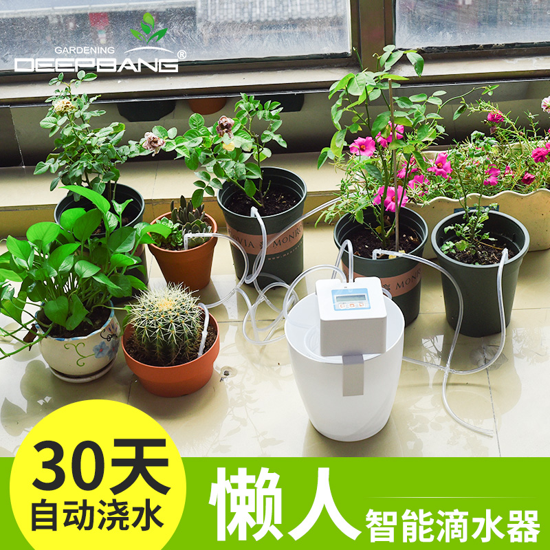 共10095 件自动浇水器定时相关商品