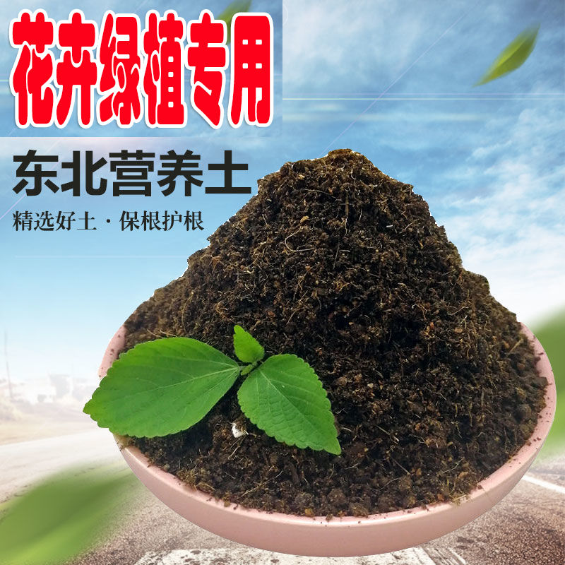 共78 件长白山黑土包邮相关商品