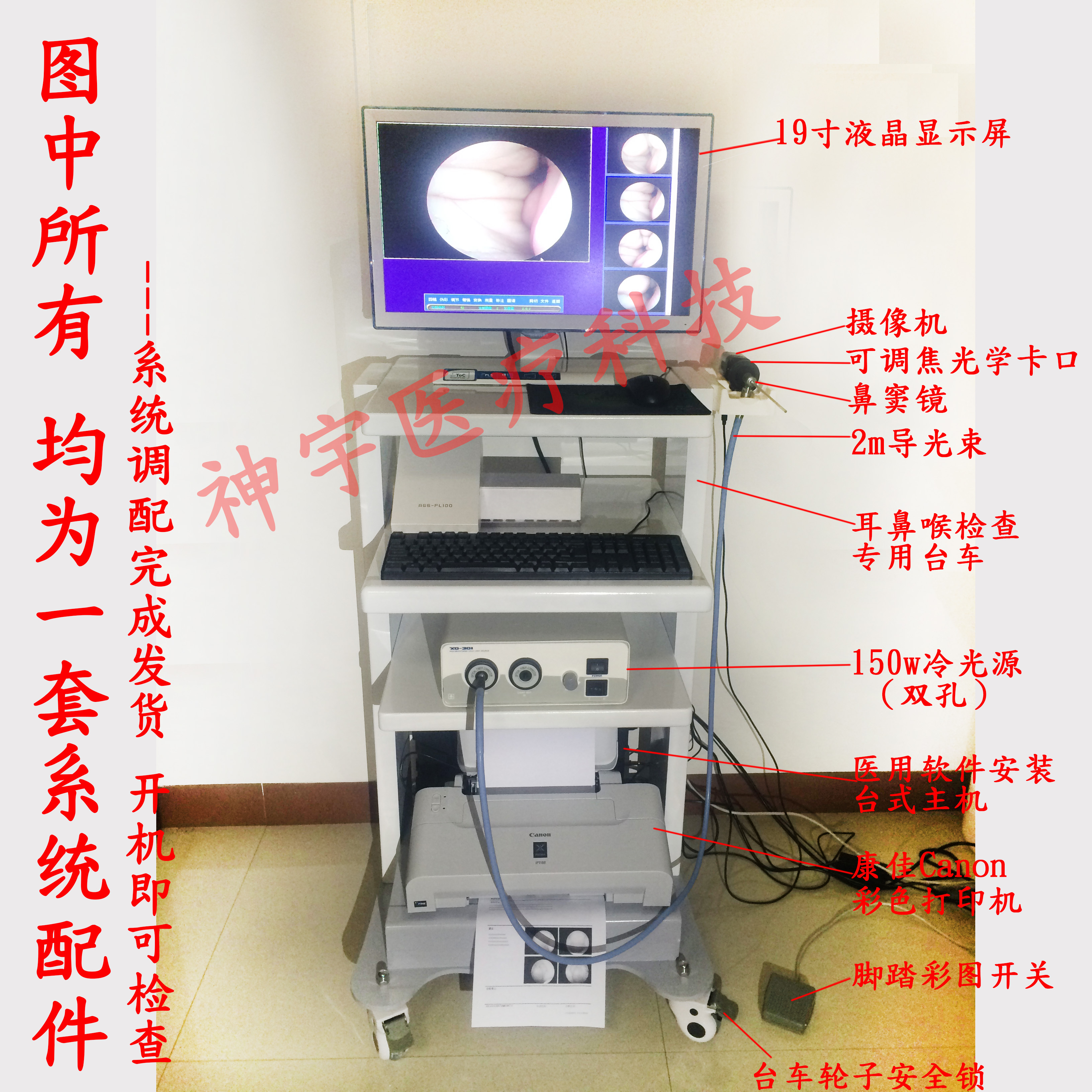 电子影像检查仪 耳鼻喉内窥镜 五官科内窥镜检查 成像摄像系统