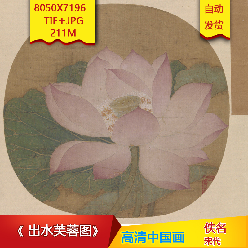 b050482《出水芙蓉图》宋代佚名作品8050x7196像素高清国画素材