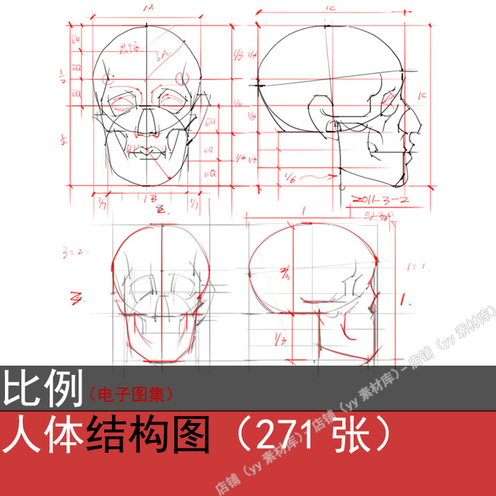 139-人体比例解剖素描速写 手绘图 骨骼结构图片素材 cg绘画