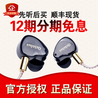 现货可试听Oriolus 黑黄鹂 灰黄鹂 耳机 jaben 鸟