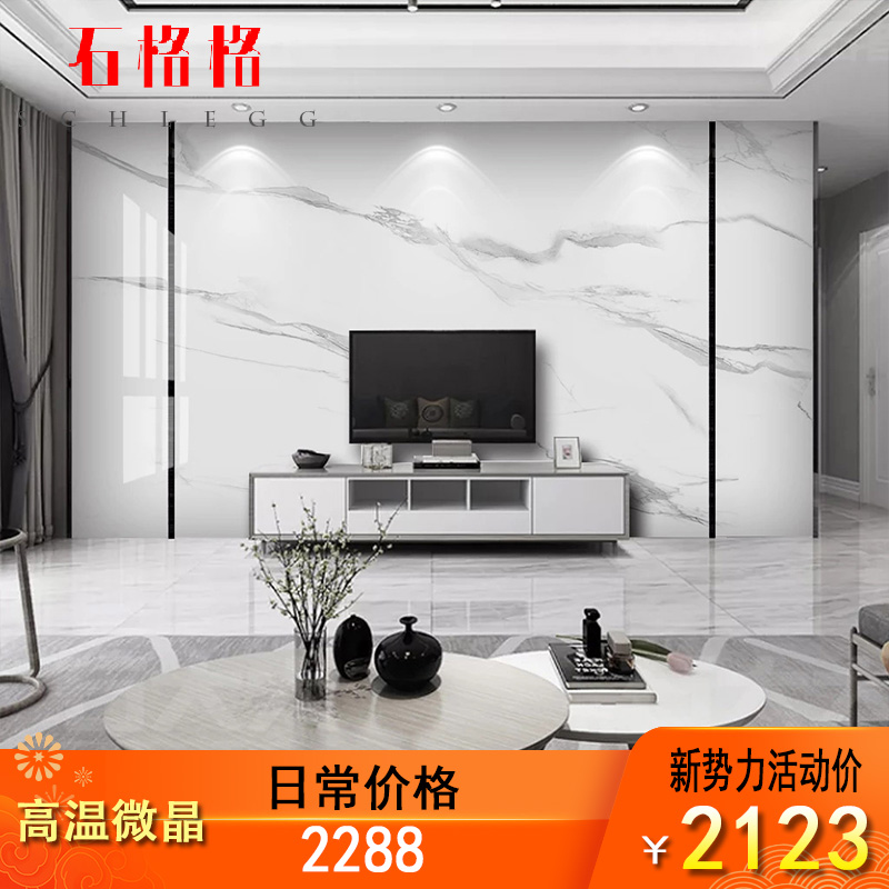 瓷砖电视背景墙现代简约轻奢新中式客厅大理石微晶石渗墨影视墙