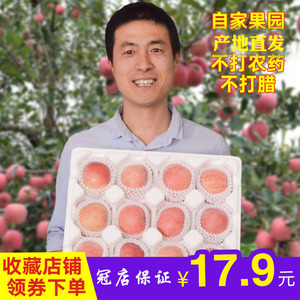 现摘 烟台红富士自产苹果带皮吃山东特产栖霞苹果新鲜水果5斤包邮红富士水果