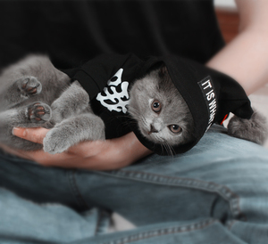 潮牌定制宠物服卫衣春夏狗狗亲子装泰迪衣服可爱猫咪衣服法斗T恤法斗服装