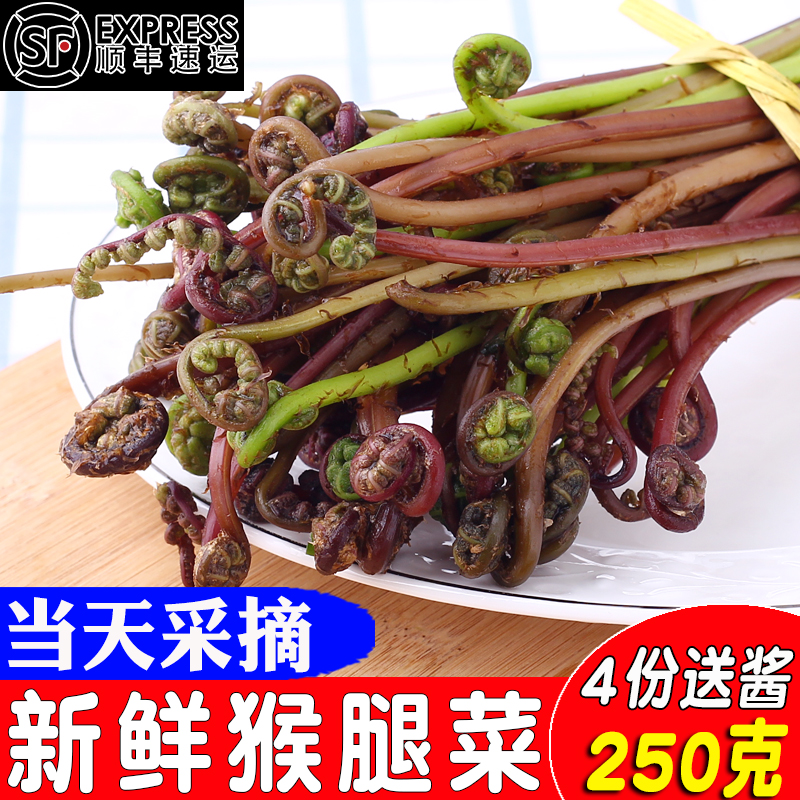 东北特产新鲜野生山菜山野菜猴腿菜紫色蕨菜250克4份包邮顺丰空运