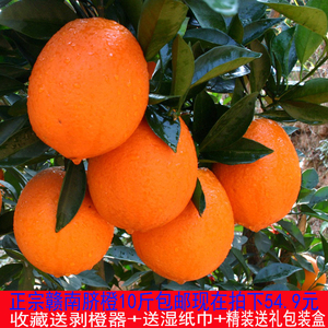 正宗赣南脐橙孕妇新鲜水果江西赣州橙子汁多甜橙现摘10斤包邮脐橙脐橙水果