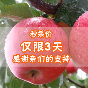 山东烟台苹果栖霞红富士吃的新鲜水果生鲜苹果5斤包邮不打蜡苹果水果