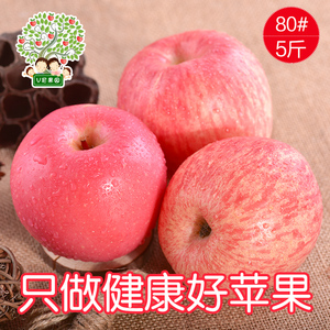 山东烟台栖霞红富士苹果新鲜孕妇水果农家吃的苹果80#5斤包邮苹果水果