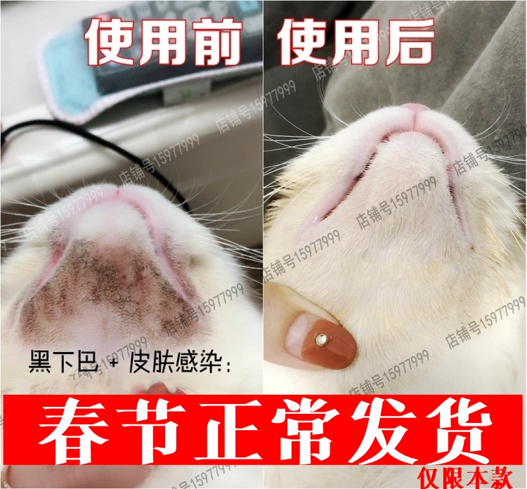 宠物脂溢性皮炎猫黑下巴马尾病毛囊炎猫癣真菌螨虫趾间炎皮肤感染