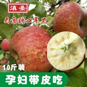 现摘云南丽江苹果新鲜冰糖心丑苹果时令红富士水果批发10斤包邮苹果水果