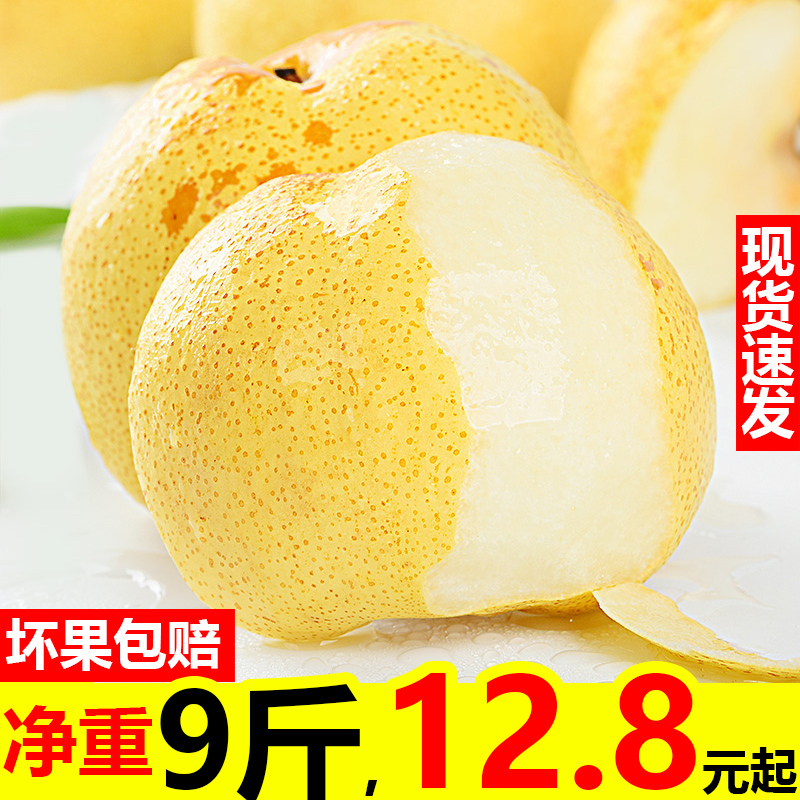 共352 件小酥梨相关商品