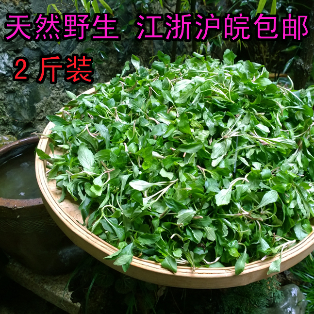 共110 件马兰头野菜相关商品