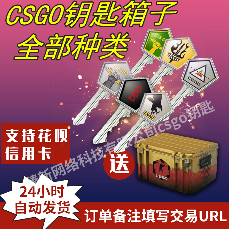 csgo棱彩2号武器箱钥匙带箱子steam国服国际服prisma 2 case key