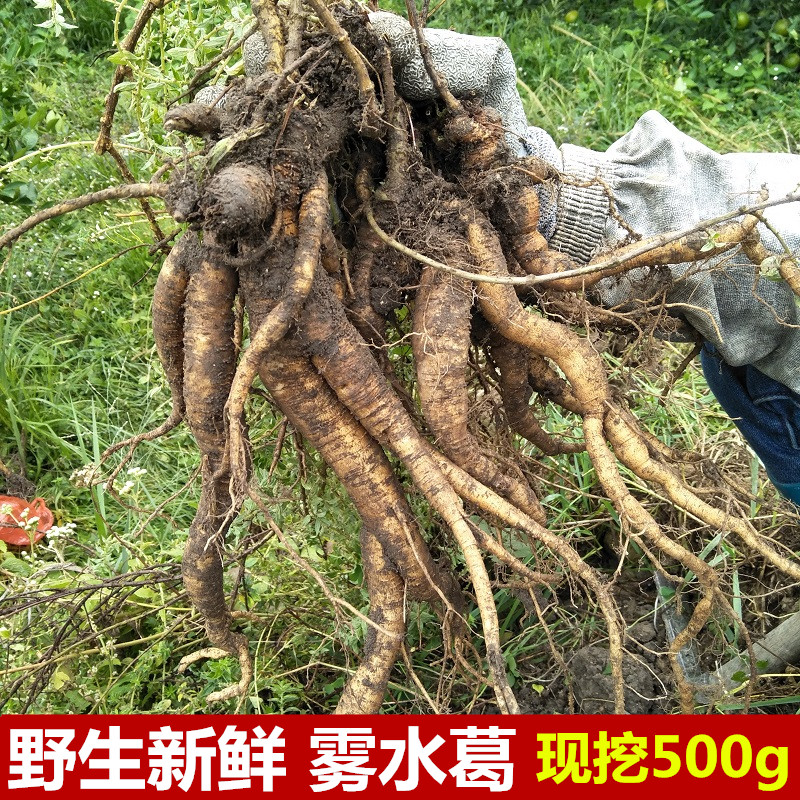 新鲜雾水葛根拔脓膏地清散脓见消啜脓膏石茹田薯生肉药粘榔糯米藤