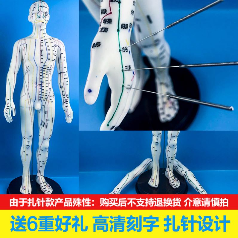 共791 件针灸穴位人体模型相关商品