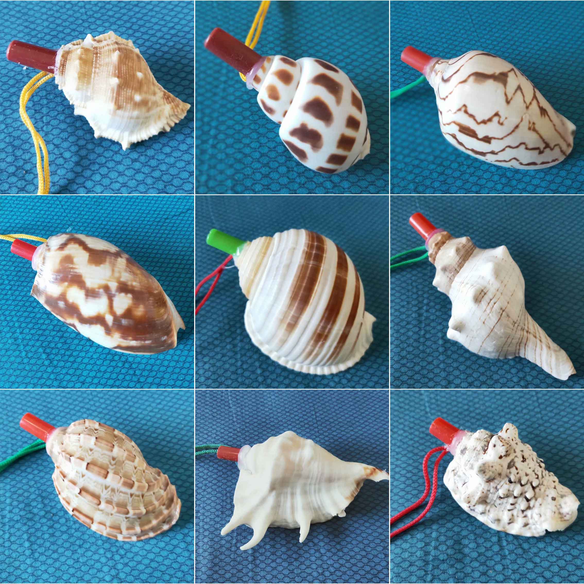 满28元包邮 天然海螺 贝壳 海螺哨 螺号 哨子 儿童玩具 贝壳哨子