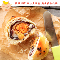 肉松蛋黄酥-饼记纯手工肉松蛋黄酥传统糕点新