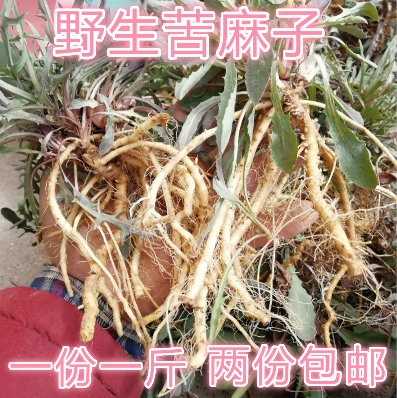 共177 件苦菜野菜相关商品