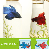 大型热带鱼观赏鱼淡水鱼风水鱼招财鱼银龙鱼宠