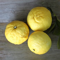 象山青桔子,象山春香,水果象山青,桔子水果--淘