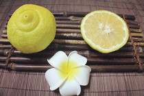 【象山青桔子】_象山青桔子推荐_品牌_价格_