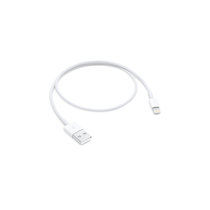 Apple/苹果 闪电转 USB 连接线 (0.5 米)