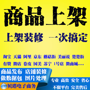 淘宝网店铺代装修首页商品代上架宝贝代上传产品代发布成人用品网店装修