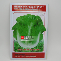 菜 加工出口首选包邮四月慢青菜种子小油菜小