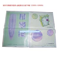 特价初中生物教学挂图 全套70幅标配 53001-0