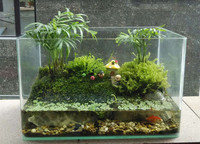REPTIZOO爬虫箱水龟生态缸水陆两栖微景观缸