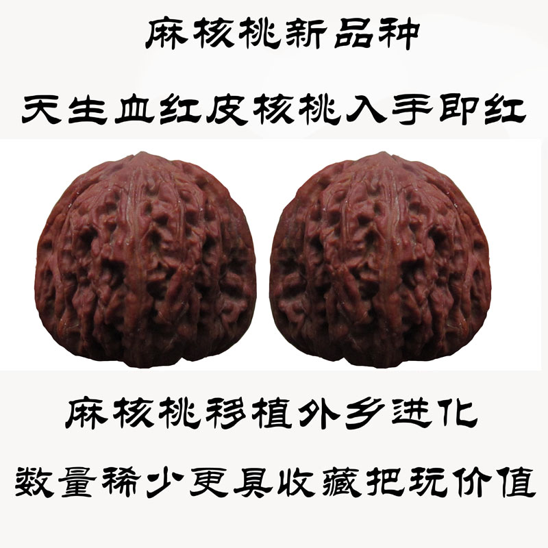 文玩核桃血红皮红皮麻核桃满天星四座楼苹果园狮子头官帽鸡心虎头