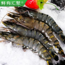 马来西亚黑虎大虾对虾斑节虾青虾1000g  40只左右大虾 基围虾