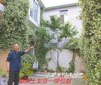 络石藤\/风车茉莉 万字银丝金丝茉莉爬藤植物四